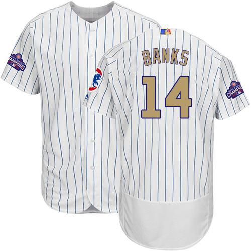 Cubs #14 Ernie Banks White(Blue Strip) Flexbase Authentic Gold Program Stitched MLB Jersey